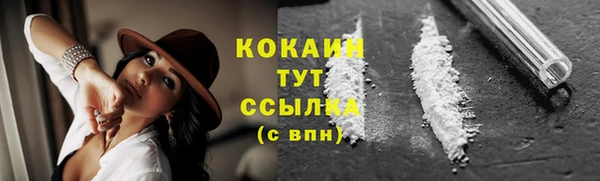 а пвп мука Дмитриев