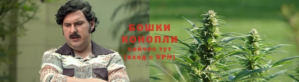 а пвп мука Дмитриев